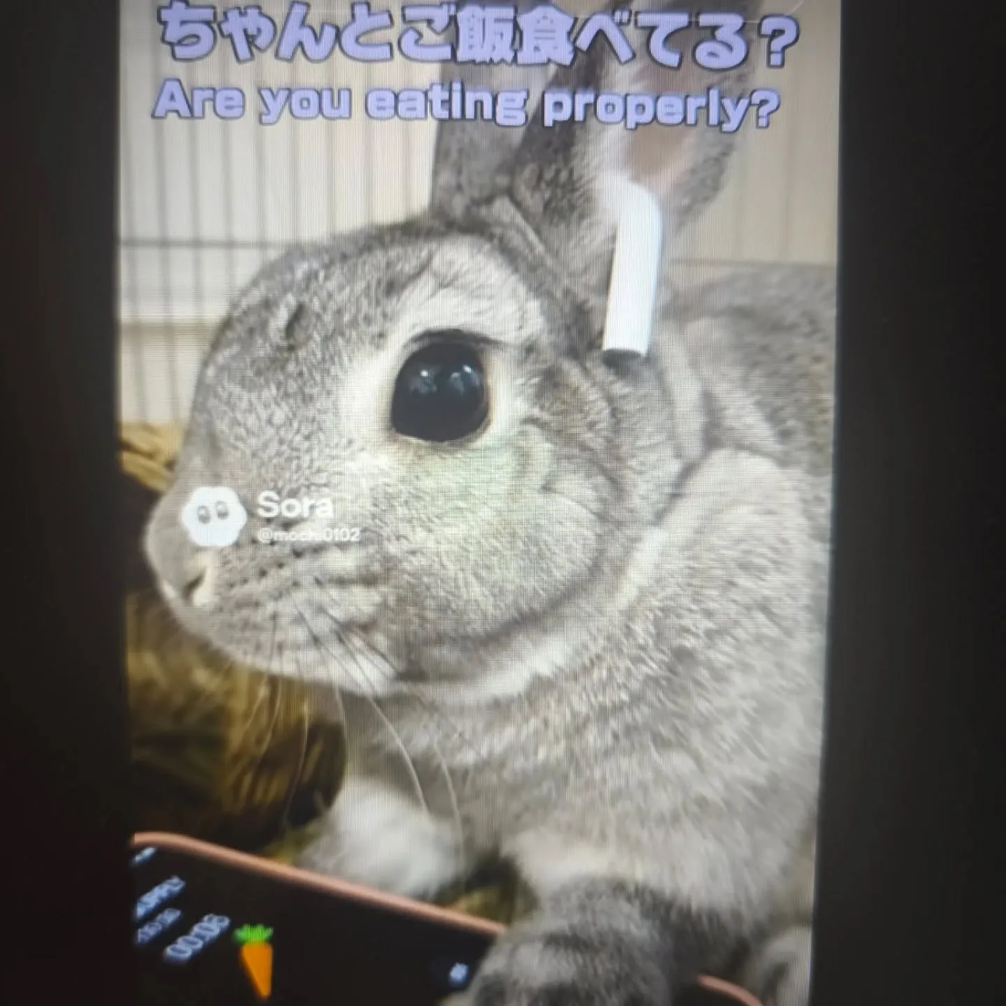 私はティックトックが好きです。